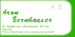 aron bernhauser business card
